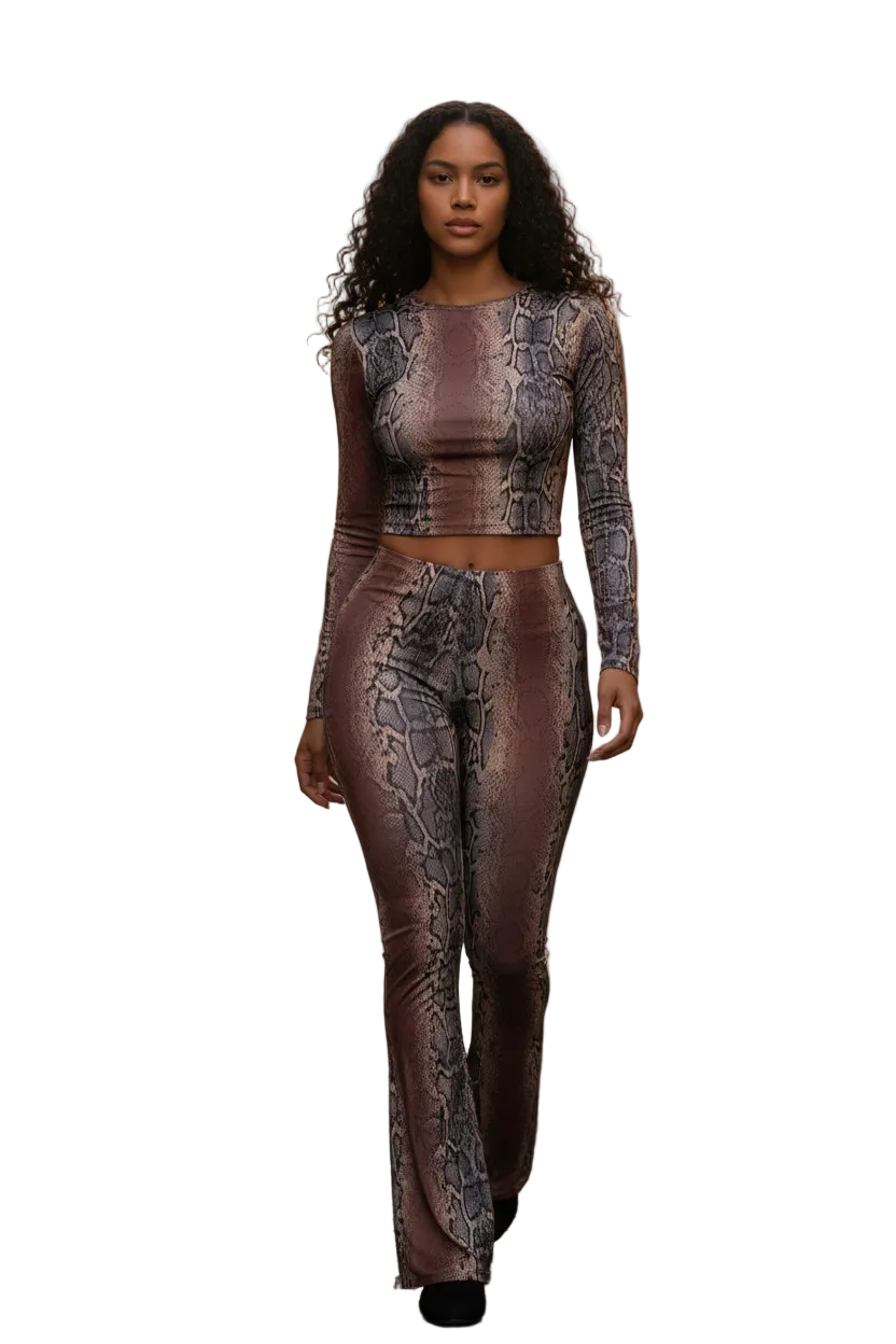 Python print top & flare pants set