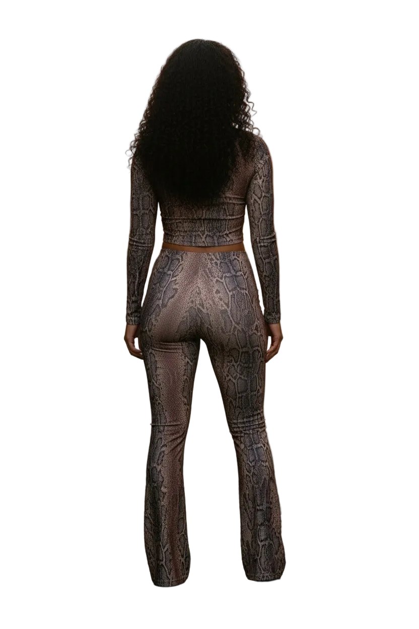 Python print top & flare pants set